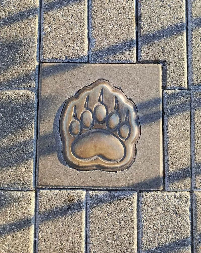 "Bear Path"