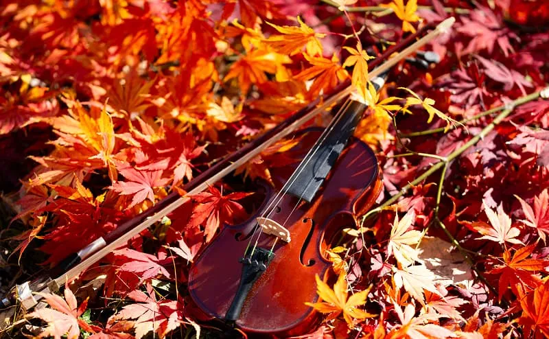 Musical Autumn in Tver