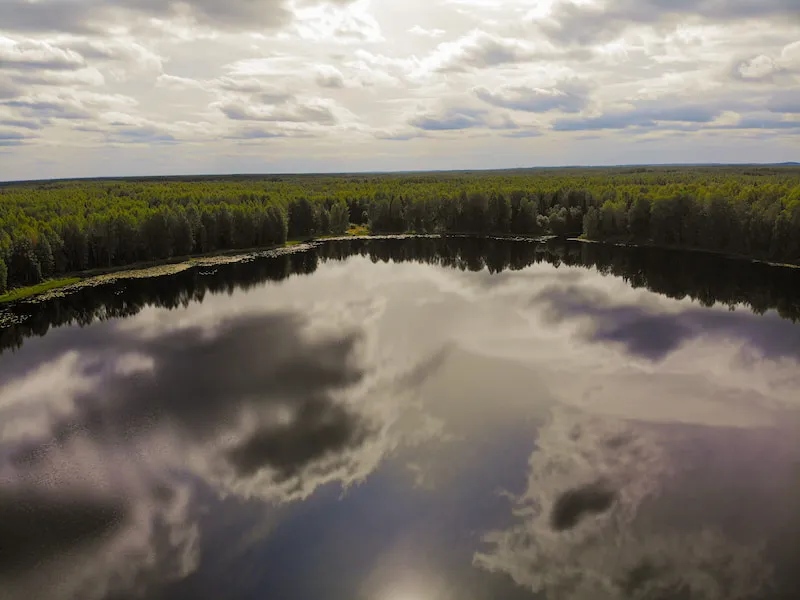 Kologrivsky Forest