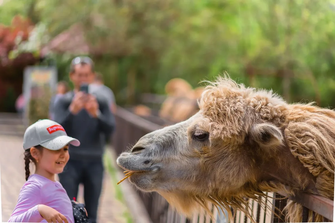 "Skazka" Zoo