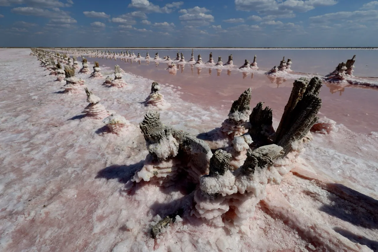 Sasyk-Sivash Pink Lake