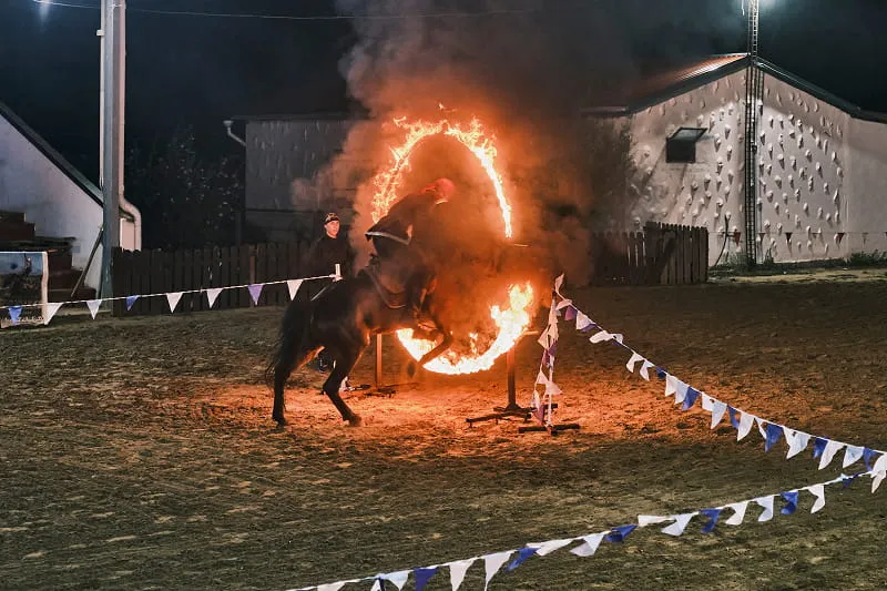 Equestrian Drama Theatre “Narty” Performance