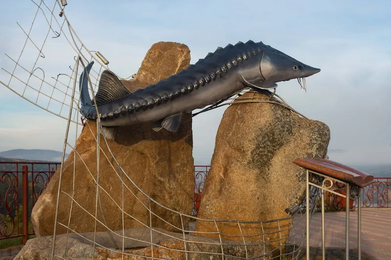 "Tsar Fish" Viewing Platform