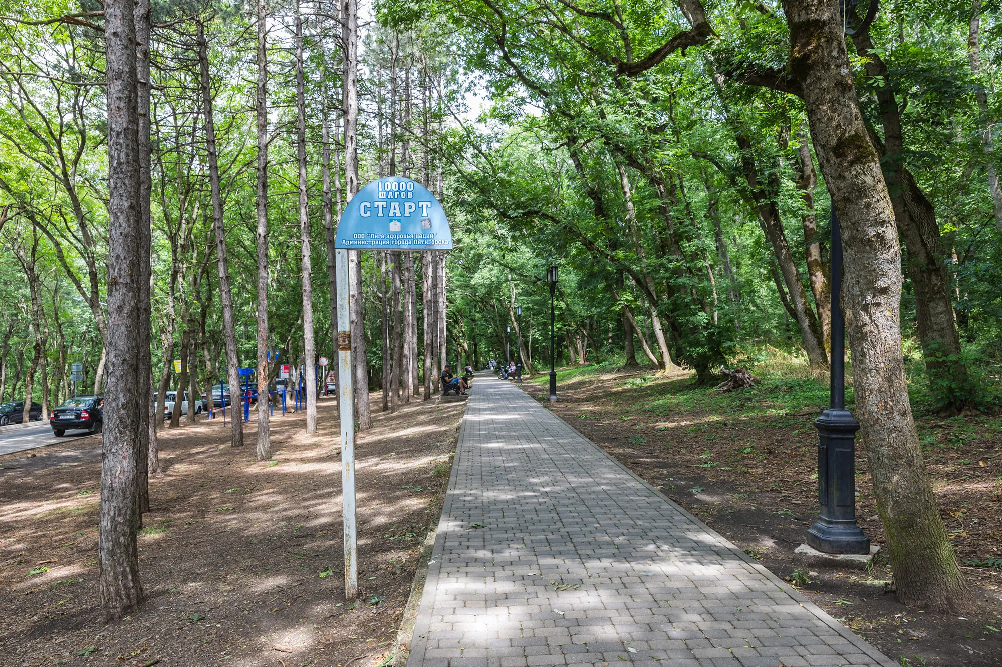 Conquer the Terrain Trails