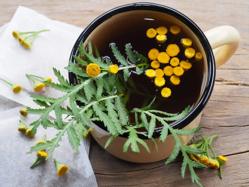 Tea and Mountain Herbs