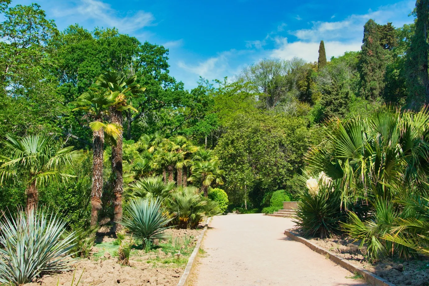 Nikitsky Botanical Garden