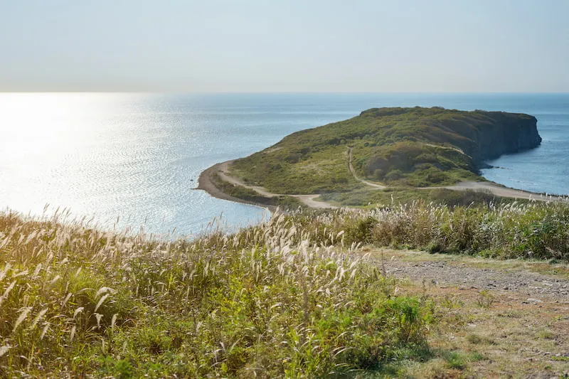 Cape Vyatlin