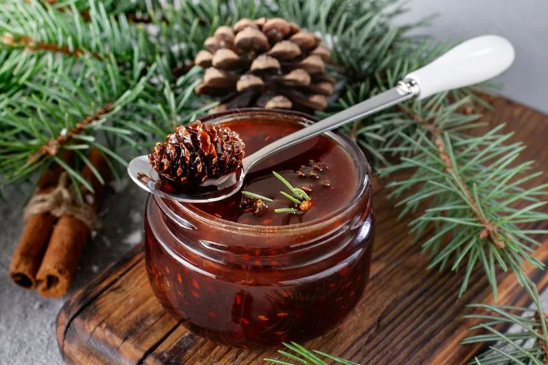 Pine Cones in Syrup