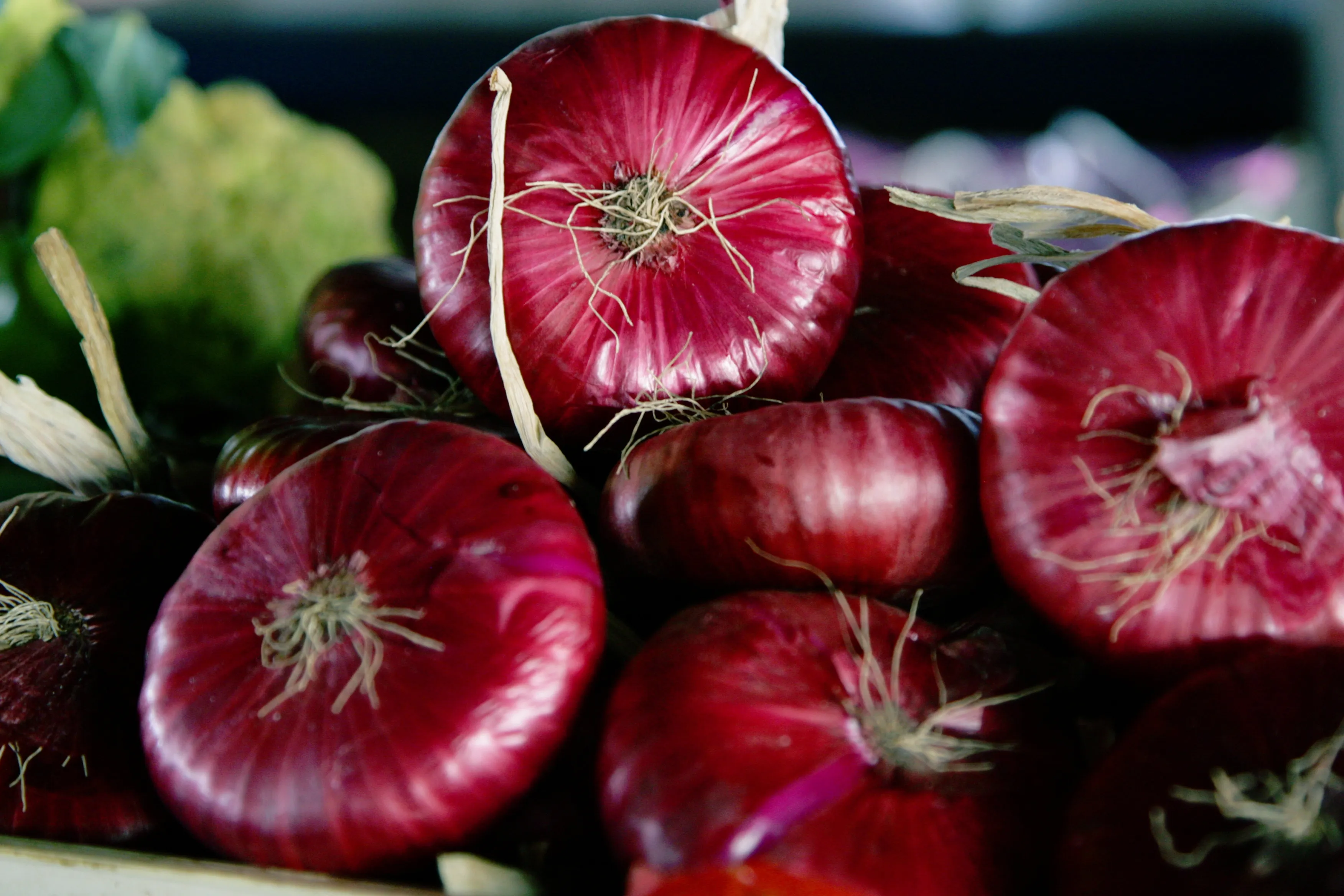 Yalta Onion