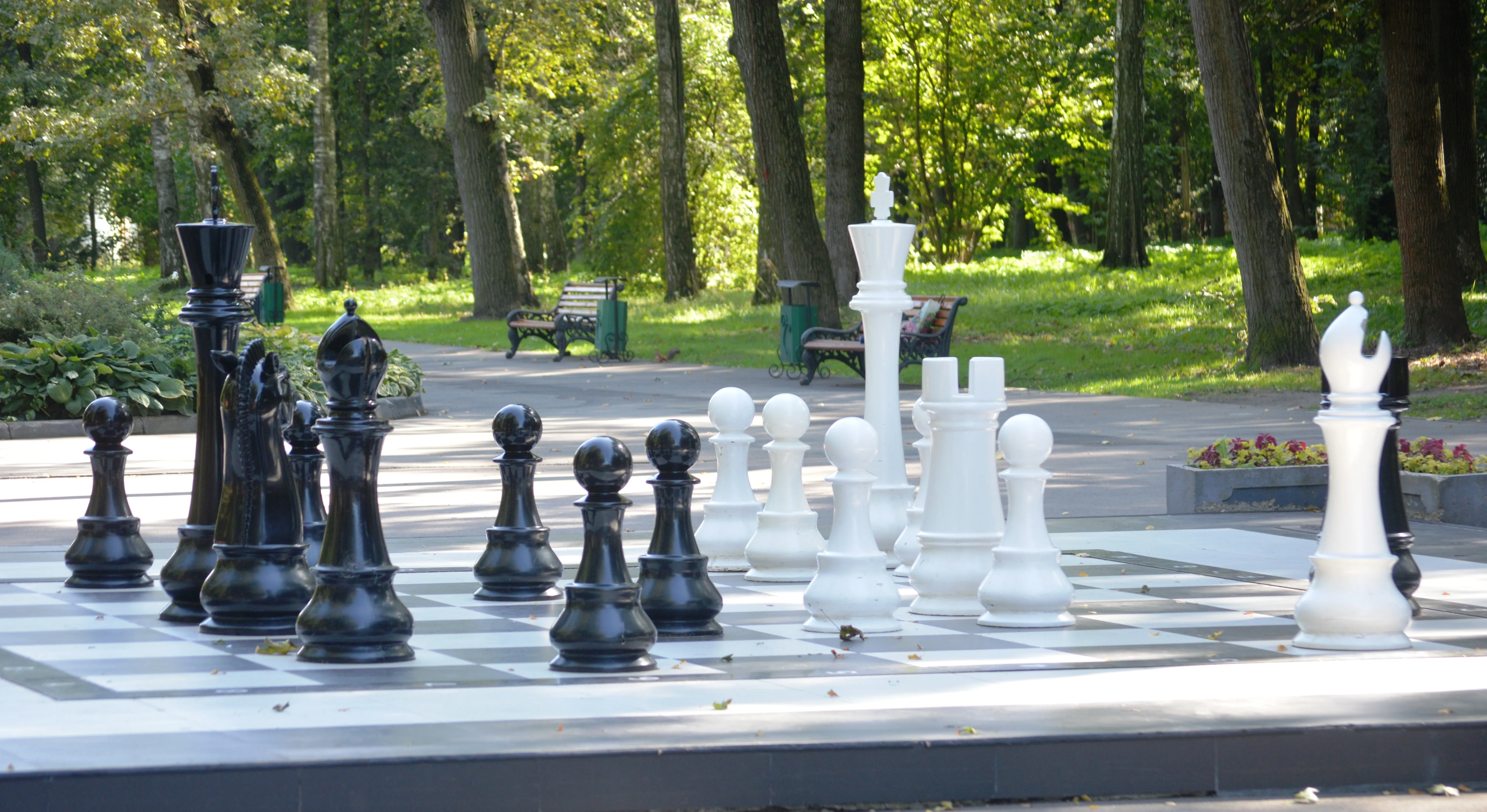 Chess Park