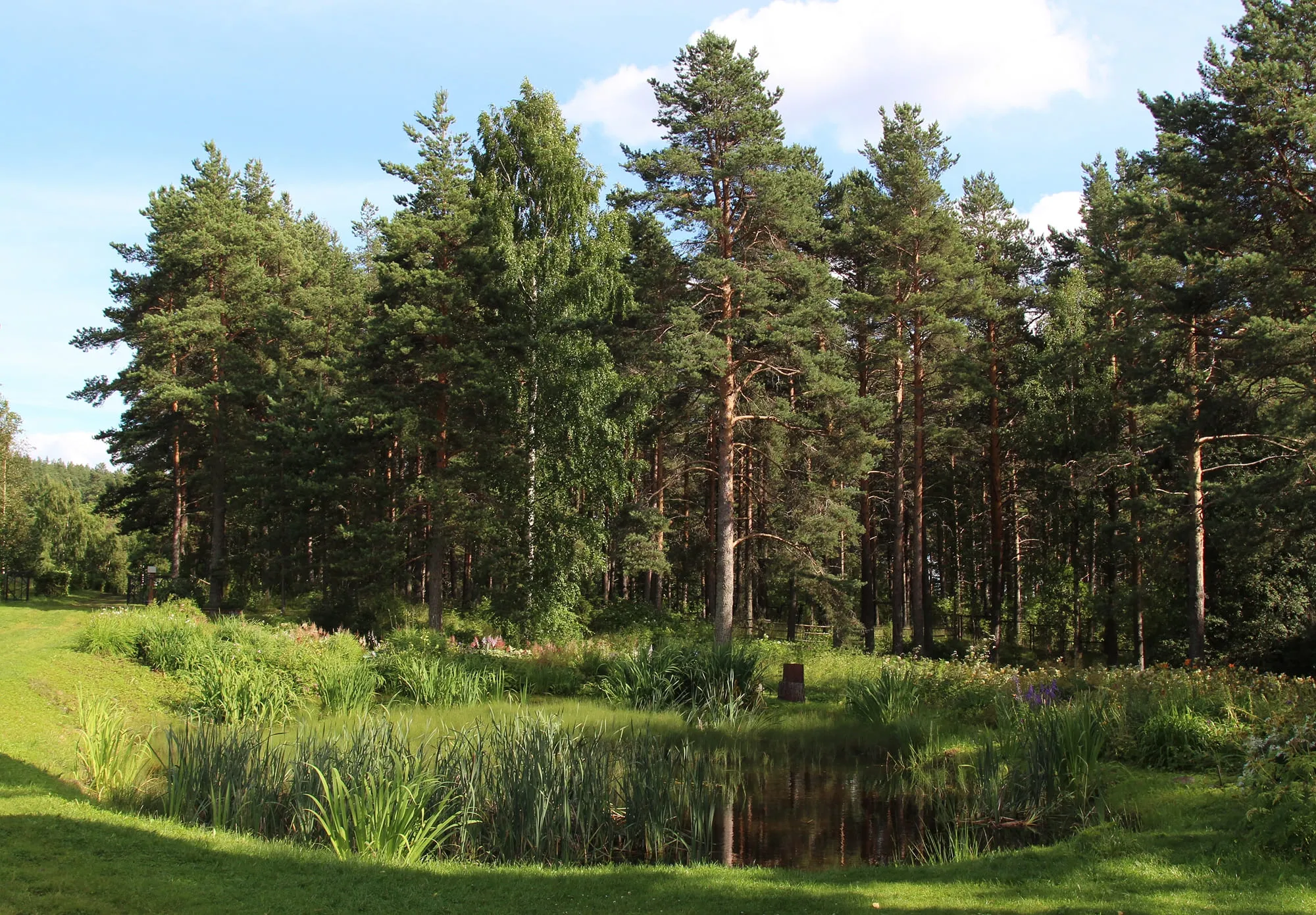Botanical Garden of PetrSU