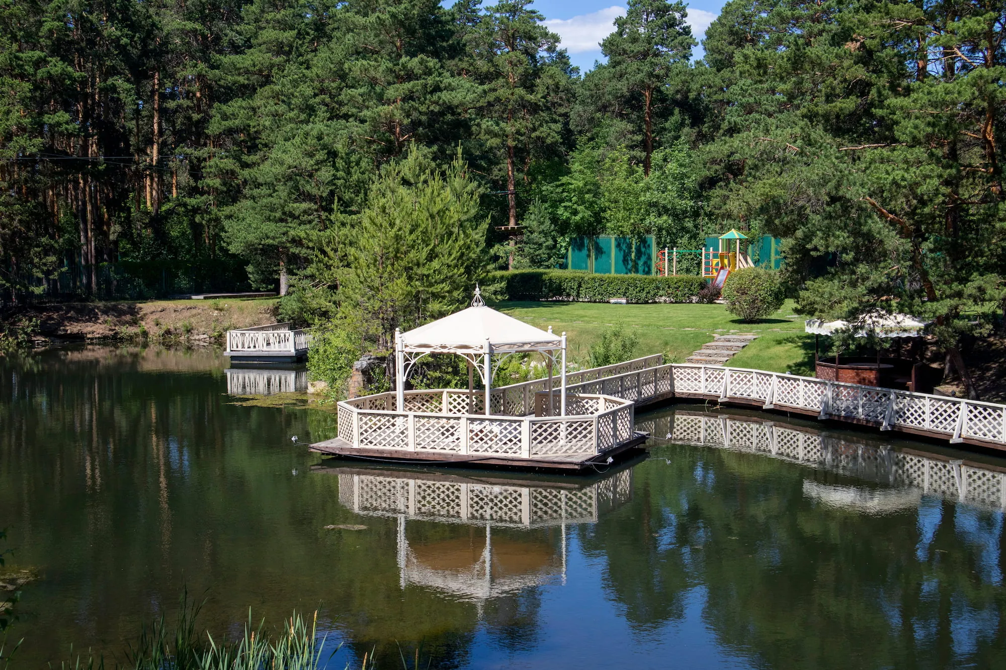 Chelyabinsk City Pine Forest