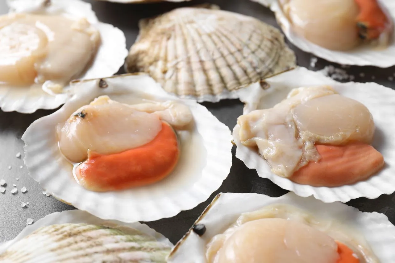 Sea Scallops
