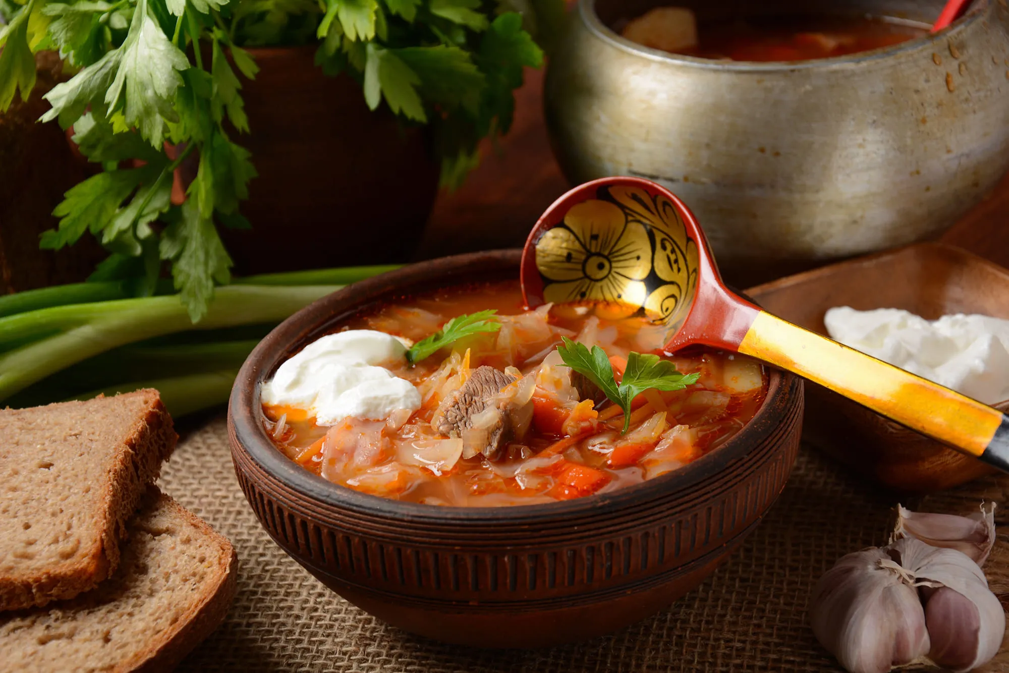 Rich Sauerkraut Shchi