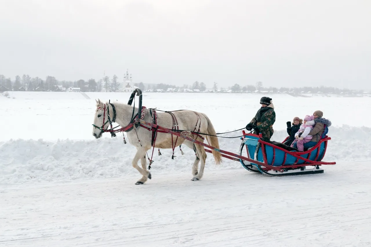 Horse-Drawn Sleigh Ride