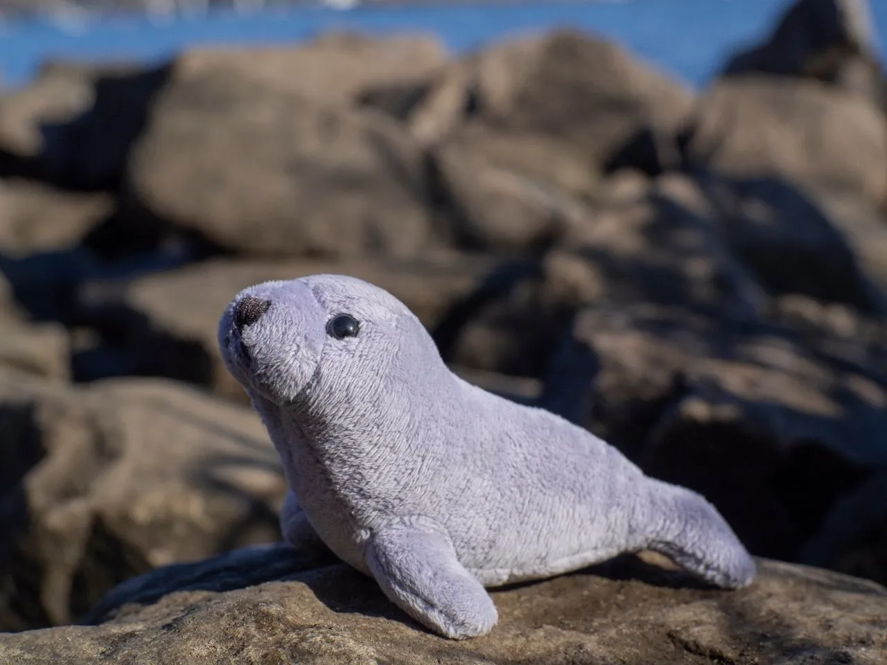 Toy Seals