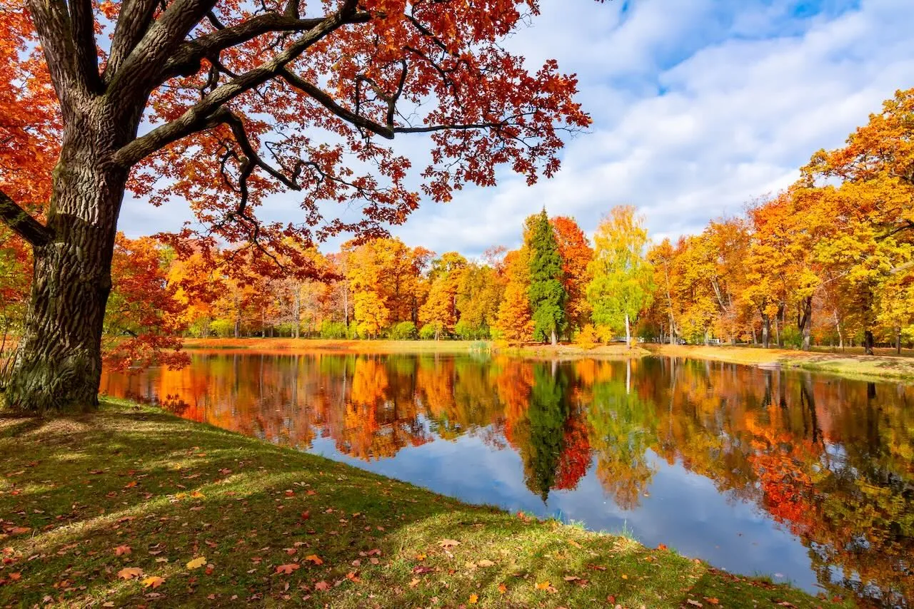 Autumn