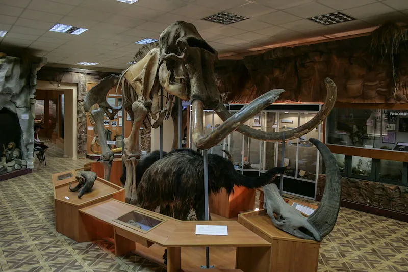 Yakutsk State United Museum of History and Culture of the Peoples of the North named after Y.M. Yaroslavsky
