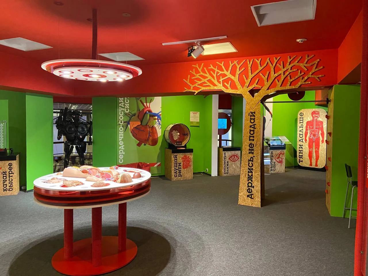 Interactive Science Museum "Newton Park"