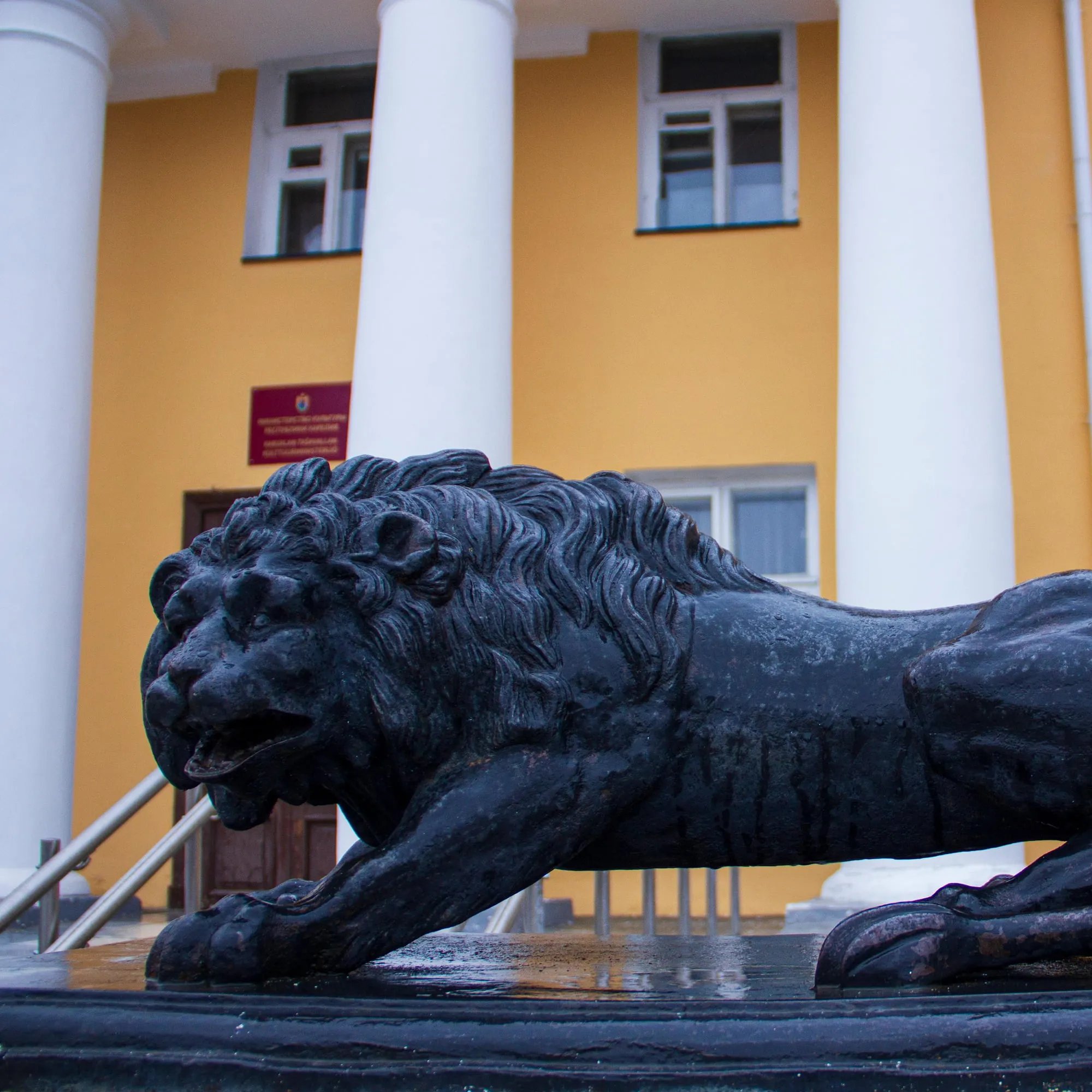 Petrozavodsk National Museum